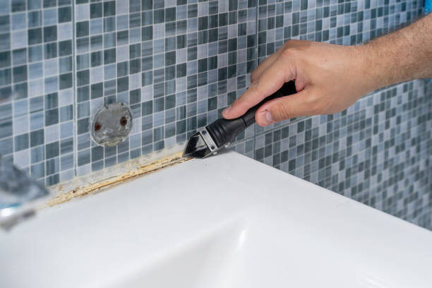 Best Office Mold Removal Services  in Northdale, FL